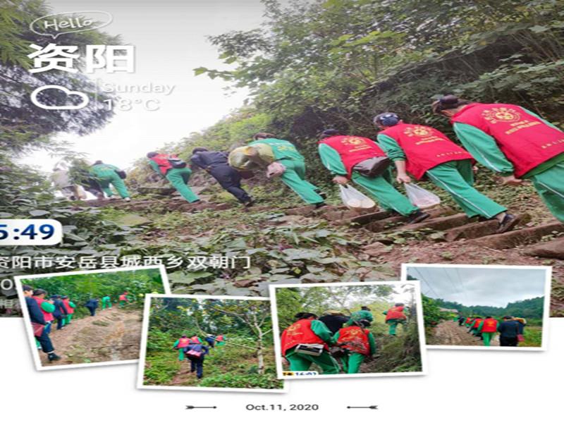 信泰志愿服務(wù)隊(duì)，有你們?cè)?，他們不孤單? class=